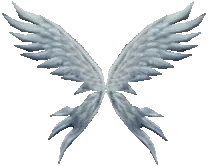 Excellent Wings of Soul